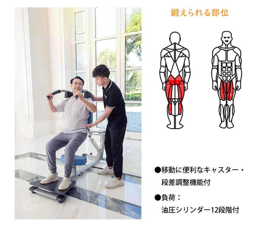 ダイコウGYMシリーズ（準業務用） スタンディングレッグレイズ　DK-675