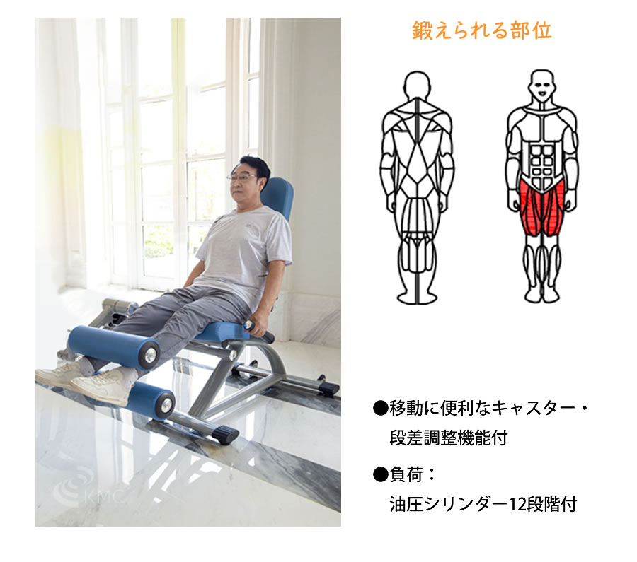 ダイコウGYMシリーズ（準業務用） レッグカール / エクステンション　DK-677