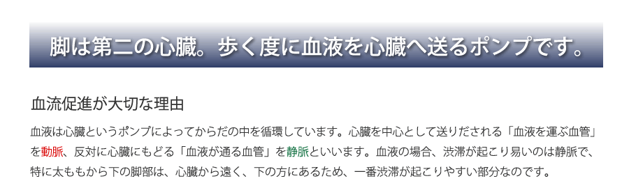 脚は第二の心臓