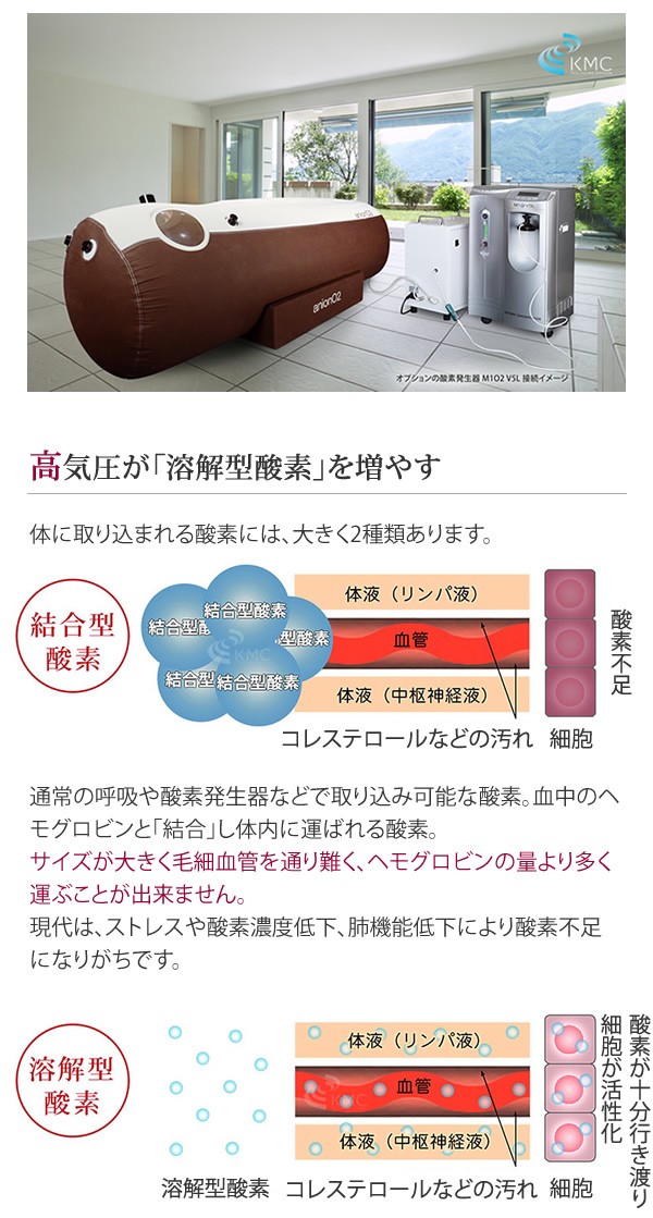 家庭用 酸素カプセル ANION O2 アニオンO2 マイナスイオン機能