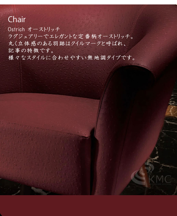 国産】遠赤外線ドームサウナ プロフェッショナル100V カラー