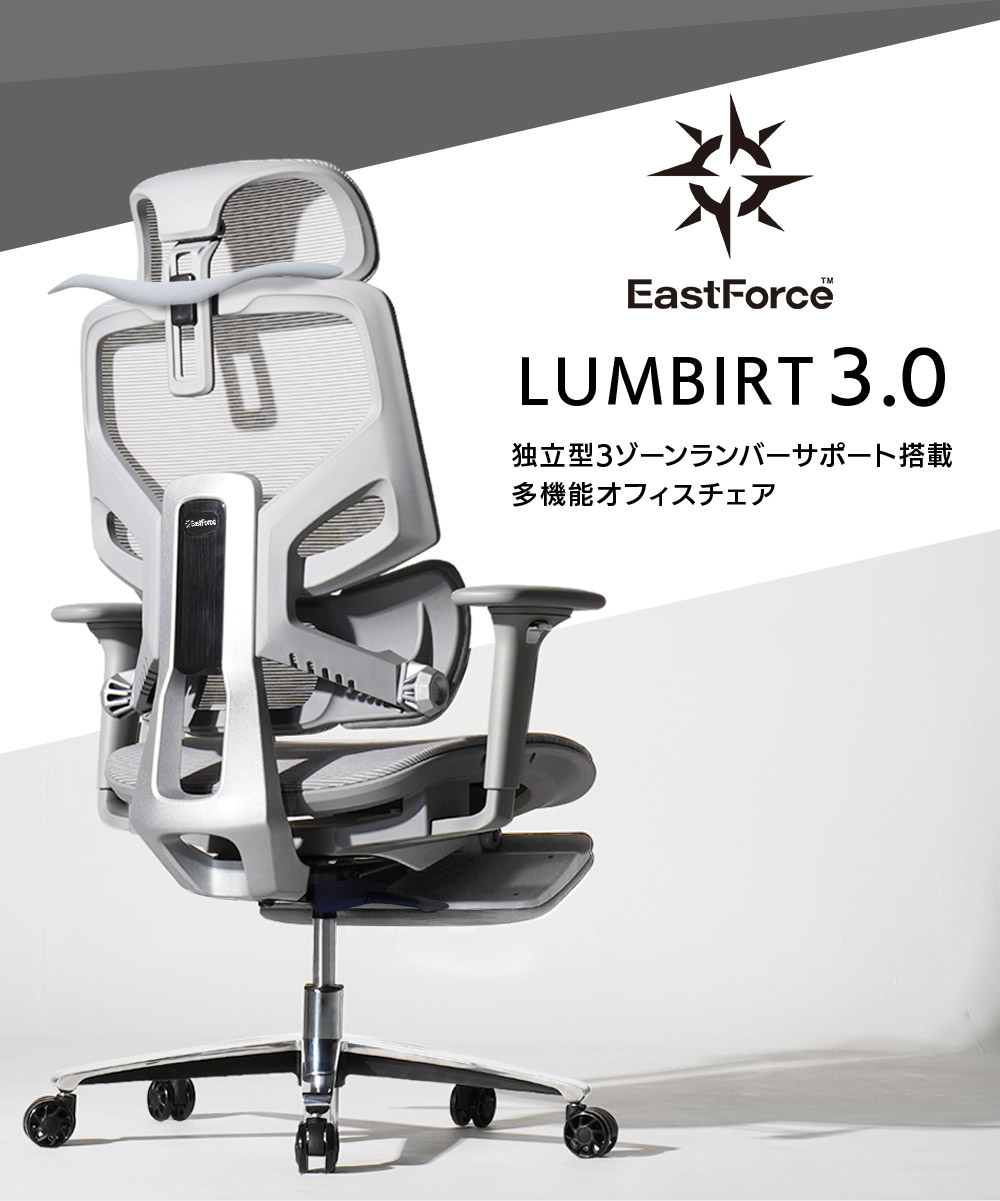 EastForce 多機能モデル LUMBIRT3.0 3ゾーンランバーサポート搭載 リクライニング133度 人間工学 オフィスチェア 椅子