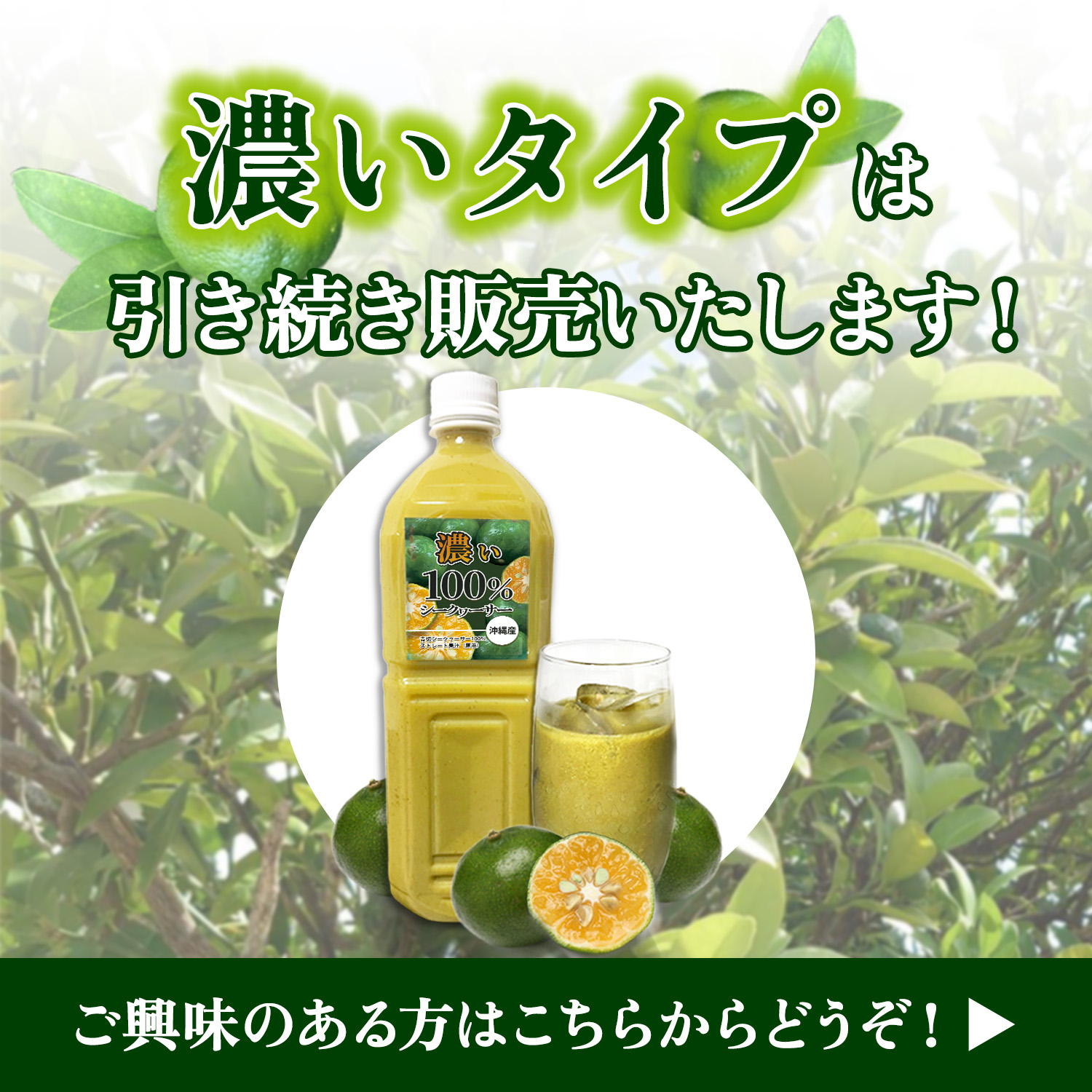 沖縄アロエ 沖縄県産100% まるごと シークワーサー 原液 2L×2本セット 