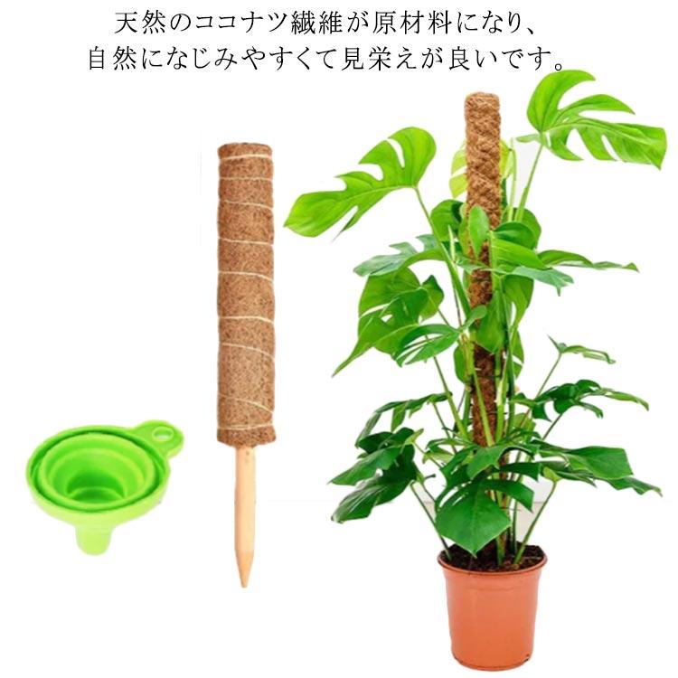 ココスティック モンステラ支柱 観葉植物 支柱 園芸支柱 植物 ガーデニング用 花ささえ ココナッツ支柱 植物サポート つる性植物 トマト ポトス 農 Pdlq4h31jp Institutpucnik Si