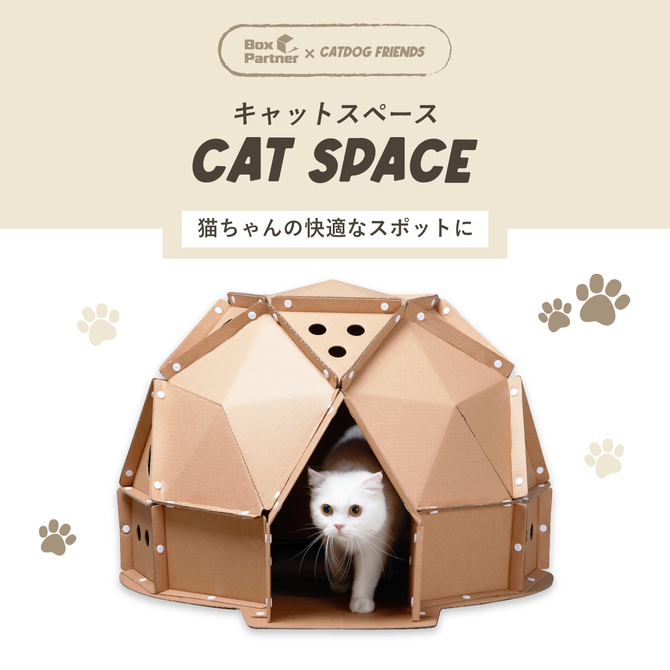 キャットハウス 猫 おもちゃ 猫ハウス トンネル ねこ ネコ 室内 運動
