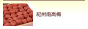 紀州南高梅