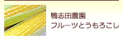 鴨志田農園 フルーツとうもろこし