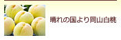 晴れの国より岡山白桃