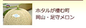 ホタルが棲む町　岡山・足守メロン