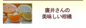 廣井さんの美味しい柑橘