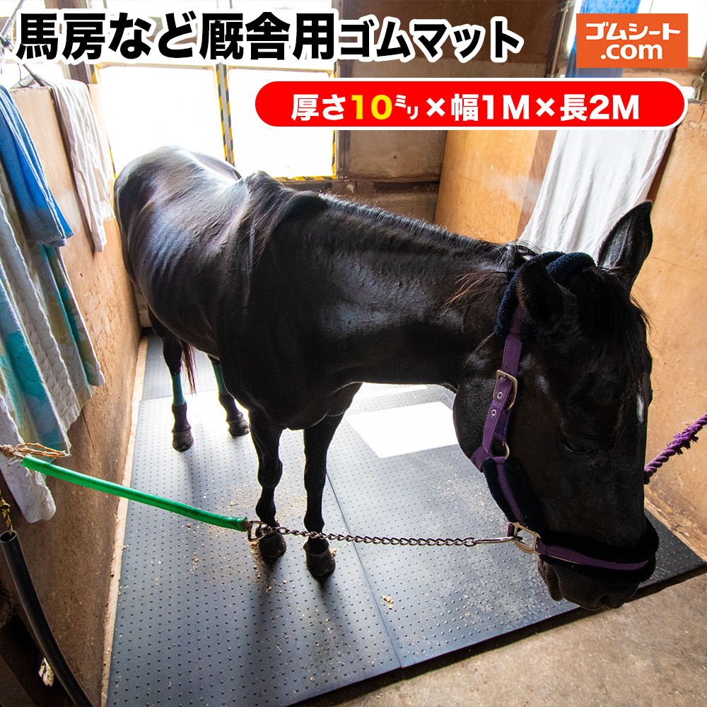  【M2PNB4XLJS7】 限定デザイン