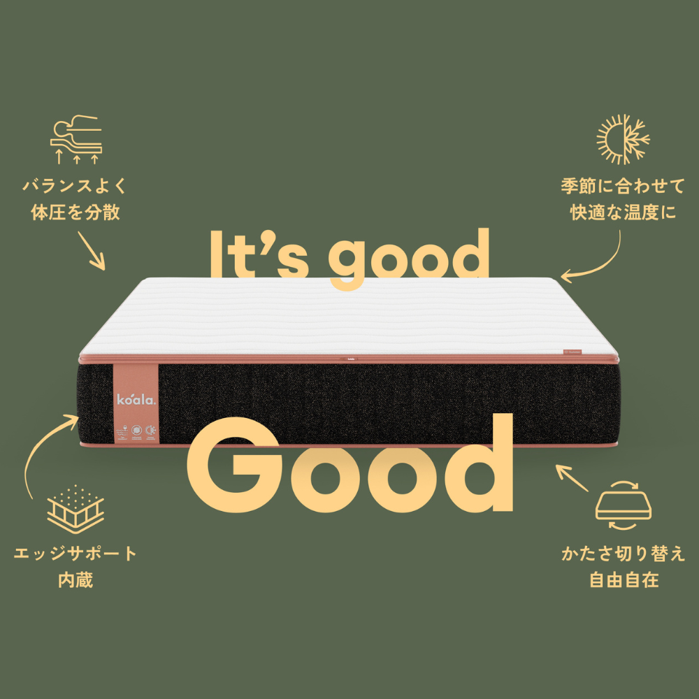 画像12