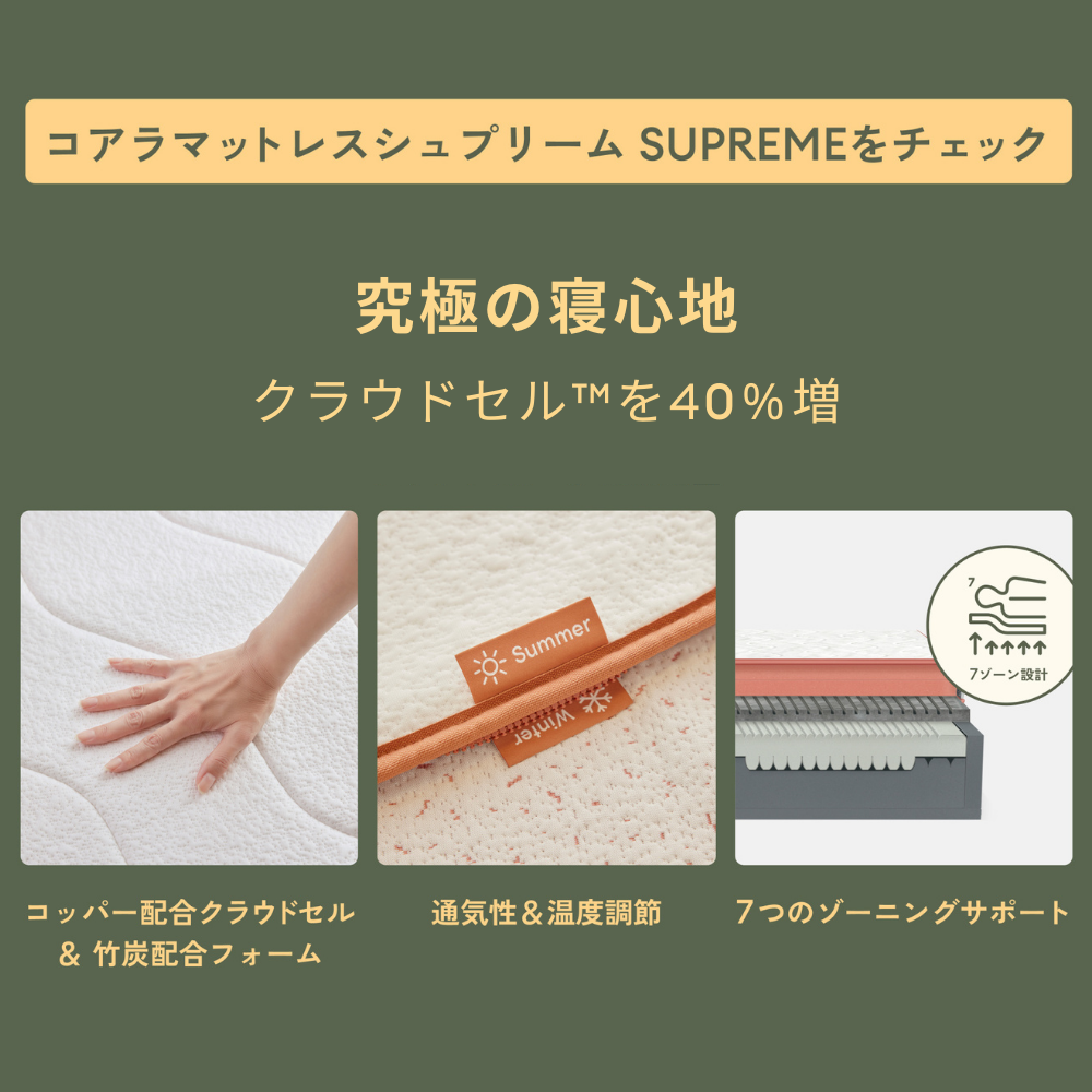 画像14