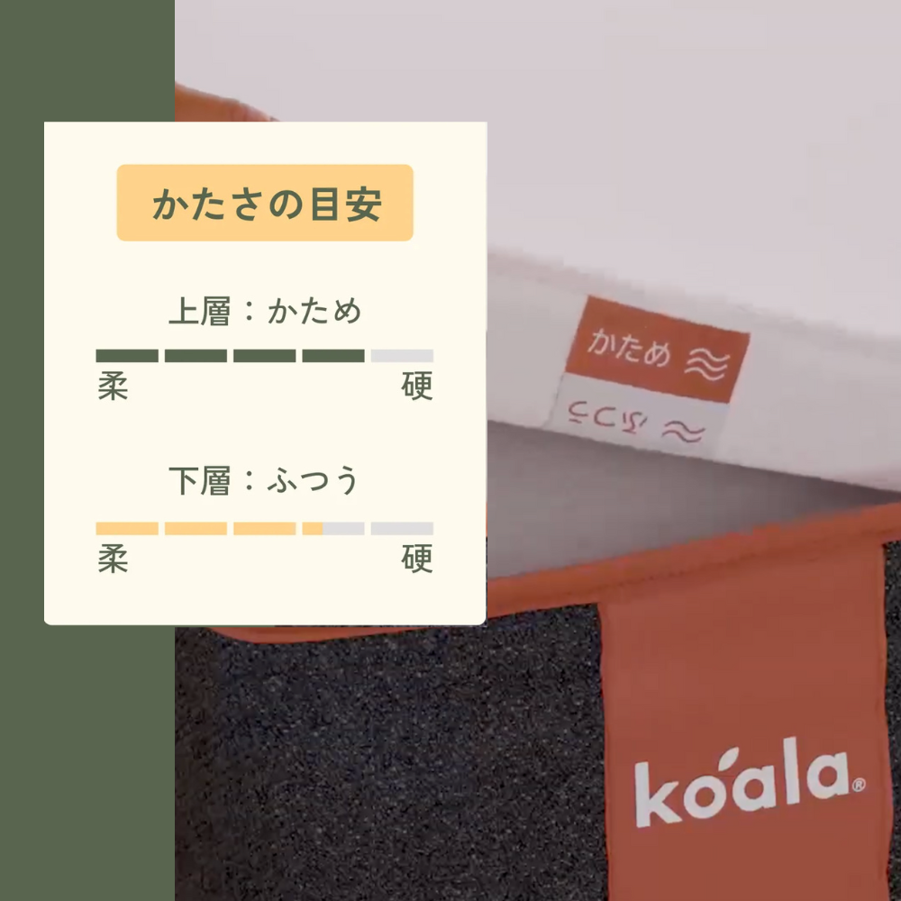 画像15