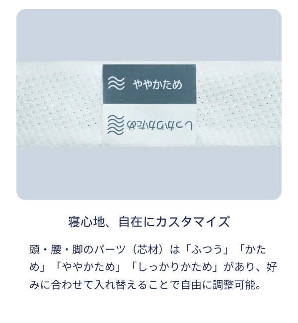 Alternate Text