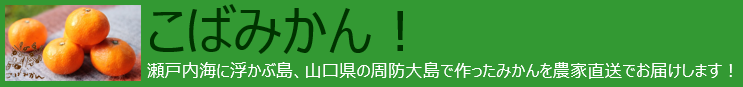 チャッピーさん専用！！☆大玉はるみみかん&不知火☆　広島県産　家庭用 2月中旬発送】みかん はるみ 秀品 Mサイズ 8kg箱（内容量5kg