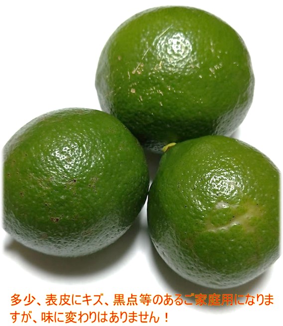 【ꕤ224】熊本県産『優品』20kg マイヤーレモン (国産グリーンレモン) 山口周防大島産『マイヤーレモン(グリーン) 家庭用 大箱 約9kg』サイズ