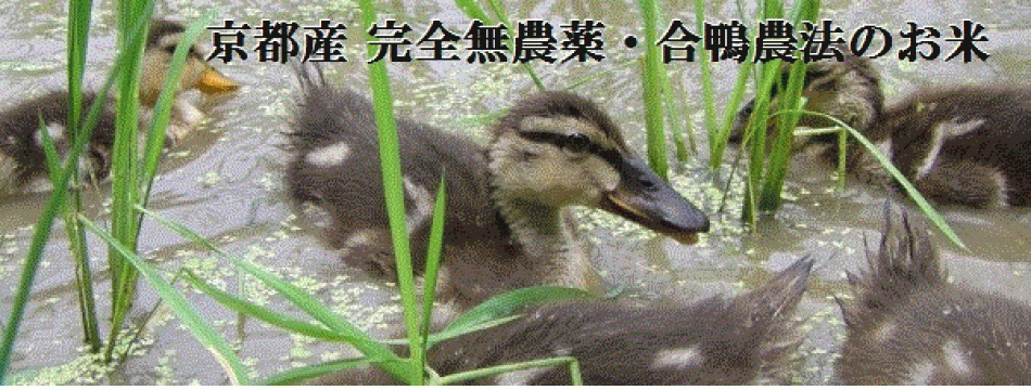 こばたけのお米~コバタケファーム