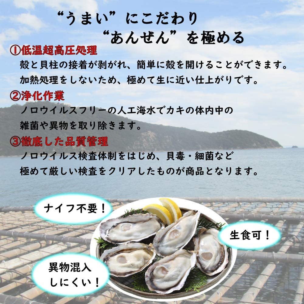 G-203】生食用 殻付きカキ 12個入り | 目的別おすすめ,その他 | 鮮度の鬼 神戸CRAB