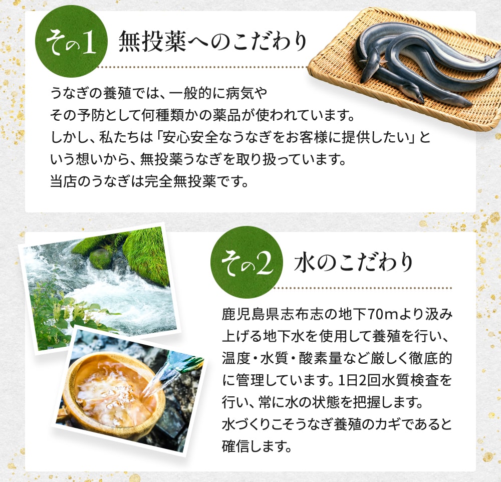 お中元熨斗つき　国産うなぎ蒲焼140g×4尾入+たれ5個 楽天市場】うなぎ 国産 鰻蒲焼き 約140g 1尾 2尾 3尾 4尾 鰻