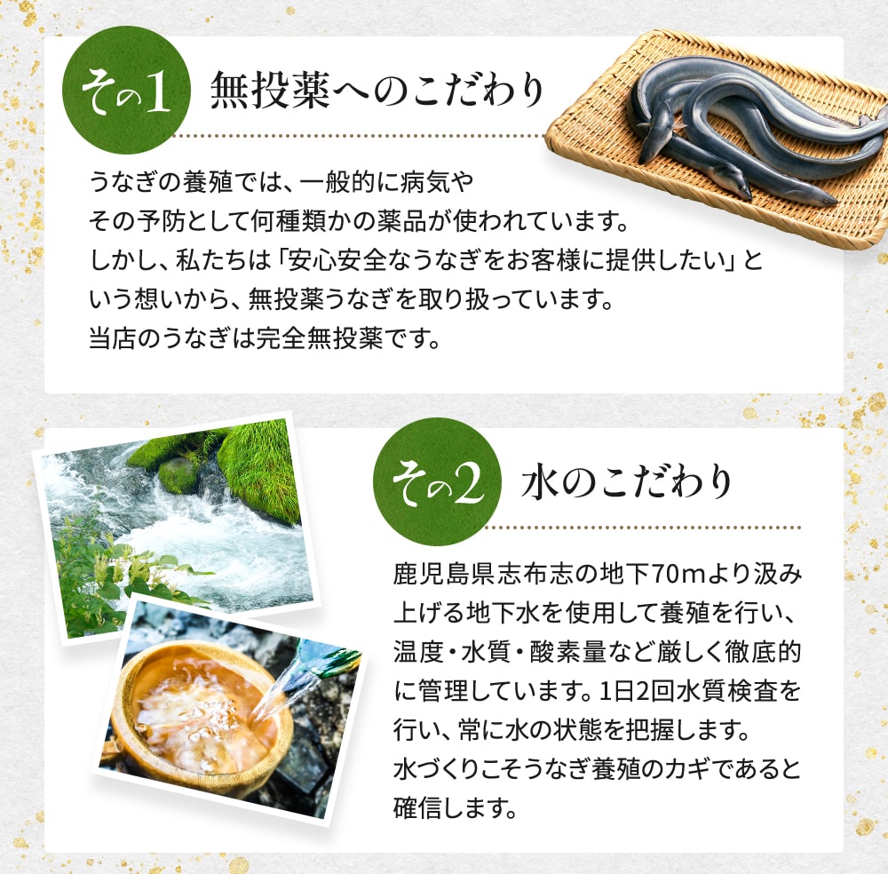 厳選蒲焼き2尾 長焼き200g×2尾 無投薬うなぎこだわりの4度焼き