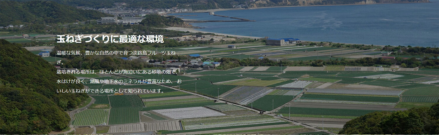 【メール便】 淡路島たまねぎ工房　株式会社善太 　五つ星ひょうご認定 　淡路島朝のオニオンスープ　7g(1食)入×90 (要6-10日程・キャンセル不可) 【1948799987】(10310円)