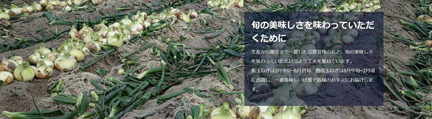 【メール便】 淡路島たまねぎ工房　株式会社善太 　五つ星ひょうご認定 　淡路島朝のオニオンスープ　7g(1食)入×90 (要6-10日程・キャンセル不可) 【1948799987】(10310円)