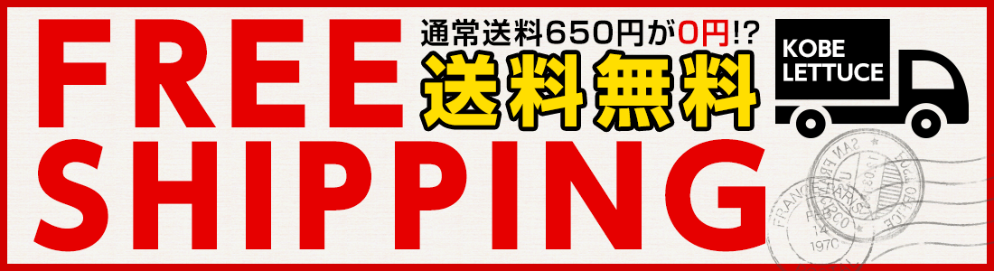 送料無料