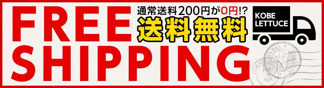 送料無料