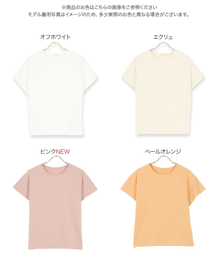 M 選べる2サイズコットン100 シンプルTシャツ トップス クルーネック インナー ベーシック 半袖 丸首 綿100 S C5106