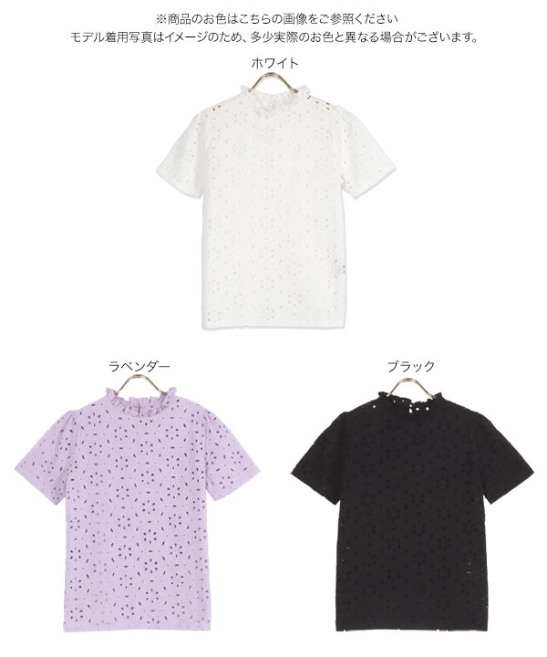 KOBE LETTUCE(神戸レタス) ブラウス レディース トップス 半袖 夏 綿 KOBE LETTUCE(神戸レタス) ブラウス レディース トップス 半袖 夏 綿