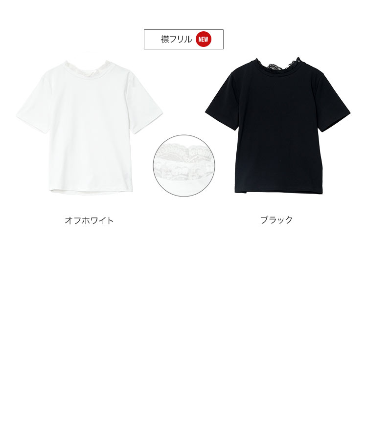 パール 選べる3タイプデザインTシャツ レディース 20代 30代 40代 Tシャツ ティーシャツ 綿 コットン C7150