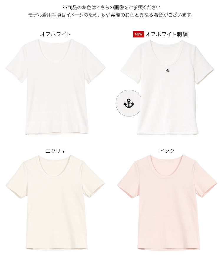 リブ MLXL選べるサイズ 深Uネック細リブ半袖Tシャツ レディース 20代 30代 40代 トップス Tシャツ 半袖 C7463