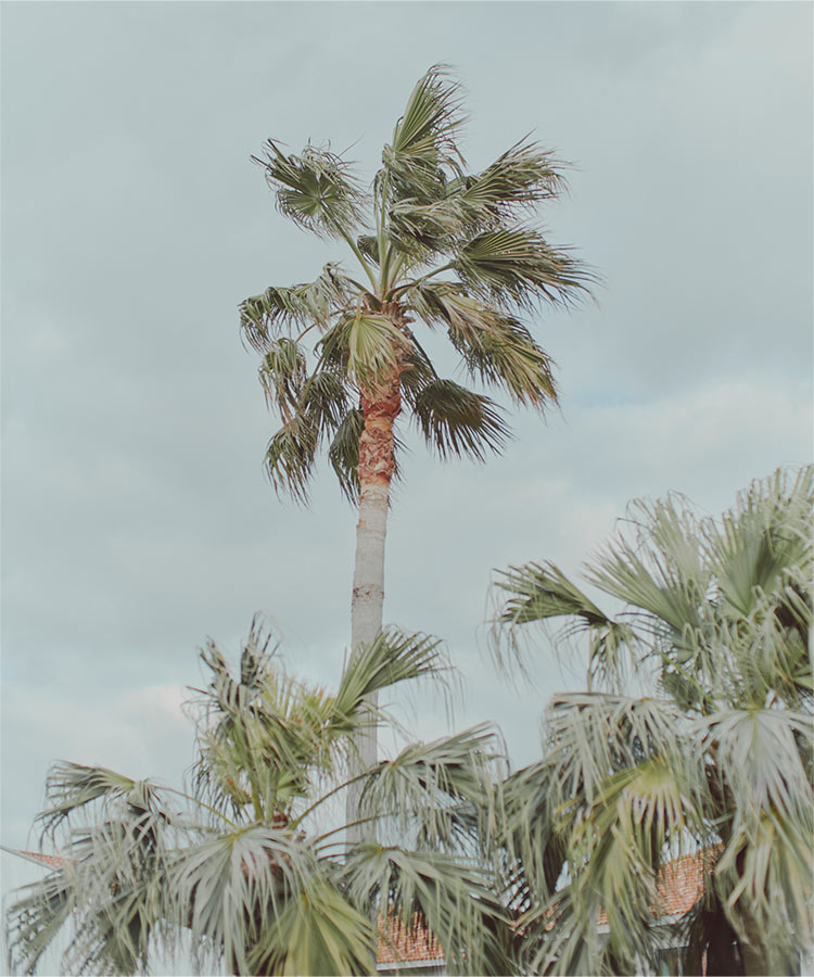 パーカー UVカット 接触冷感 MLXL選べる2タイプ取り外しサンバイザー付きパーカー レディース C7760