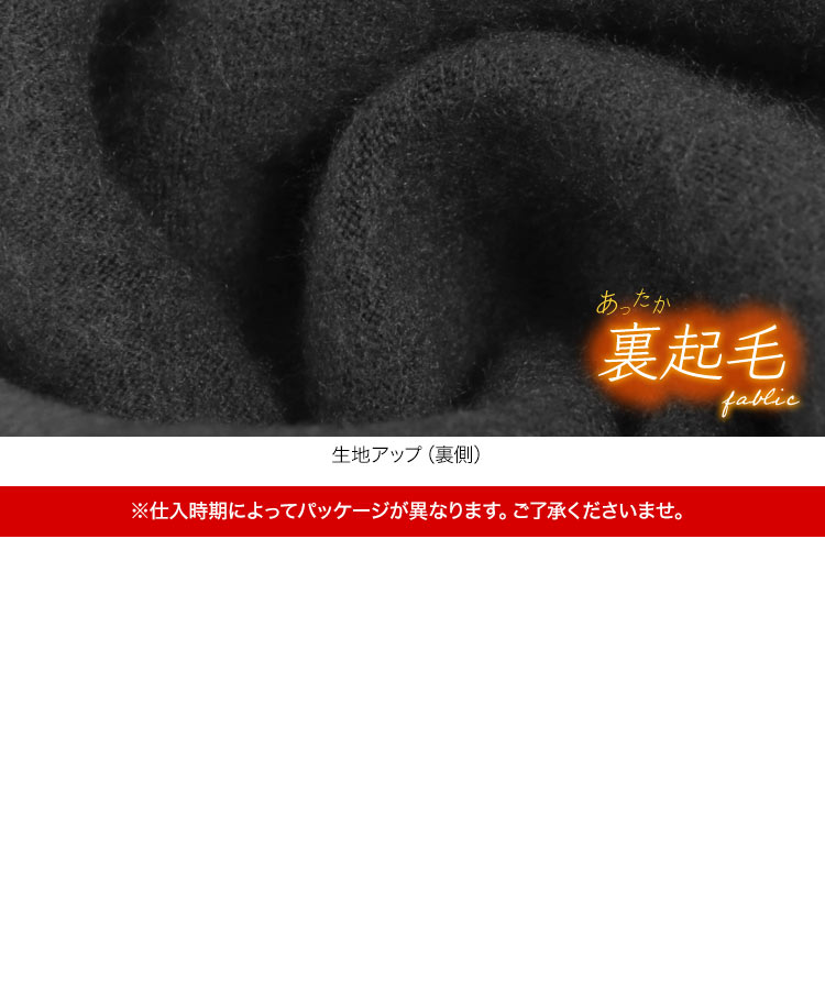 あったか 裏起毛タイツ レギンス レディース インナー Mサイズ Lサイズ LLサイズ 3Lサイズ 大きいサイズ 防寒 J72C