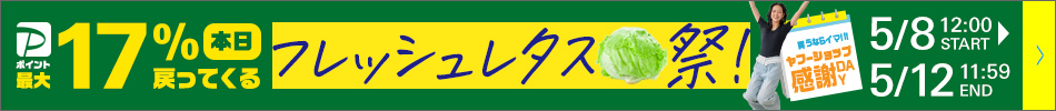 フレッシュ！レタス祭りセール