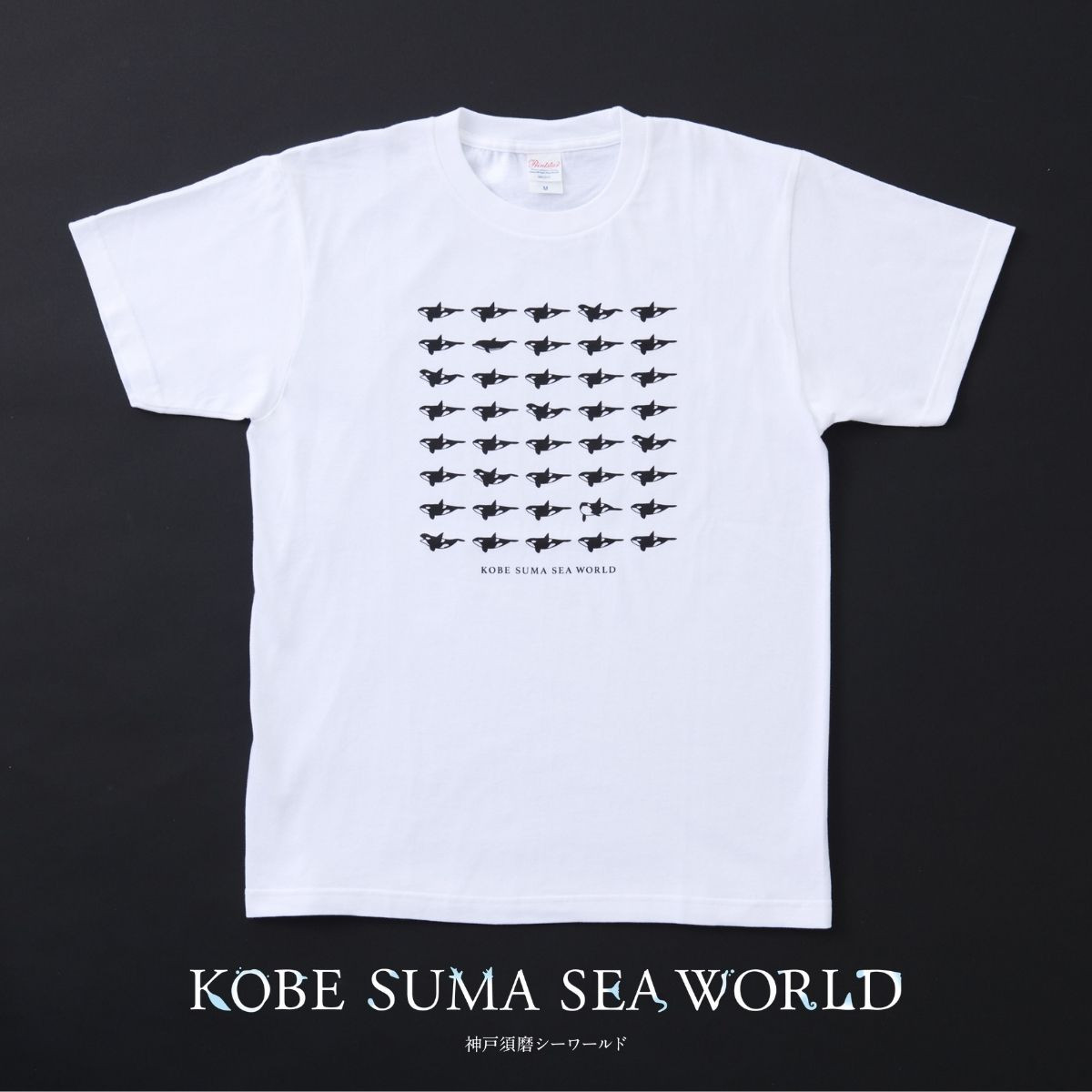 整列シャチTシャツ : 神戸須磨シーワールドオンラインショップ - 通販 