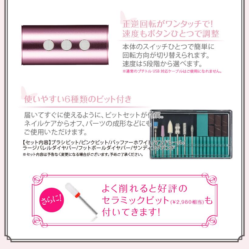 充電タイプ コードレスプチトルF | 初〜上級者モデル Petitor F ゴールドビット・ビットセット付　修理保証あり