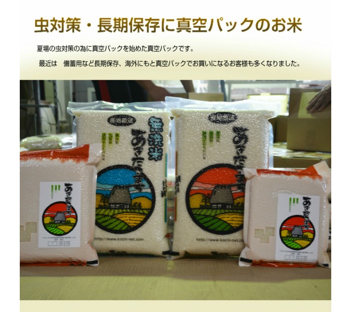 【古米・玄米】令和5年産　あきたこまち　5kg　2袋　真空パック 300cbe15694c3d93e498b96889ca7d