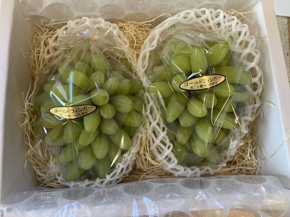 シャインマスカット ゴールドフィンガー ぶどう 2品種 食べ比べ 各1房