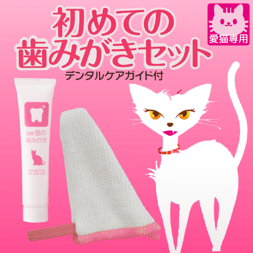 ティースブラシ 猫口ケア 2枚組 DVD 猫の歯科診療 ペット用品 歯磨き 動物 猫用 ネコちゃん その他