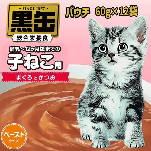 アイシア（AIXIA） キャットフード ウェット 総合栄養食 猫 ウェット