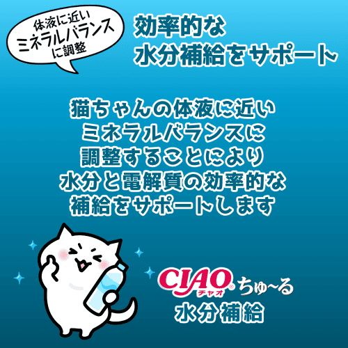 INABA ちゅ〜る ちゅーる チュール 猫 おやつ ねこぴゅーれ ciaoちゅ