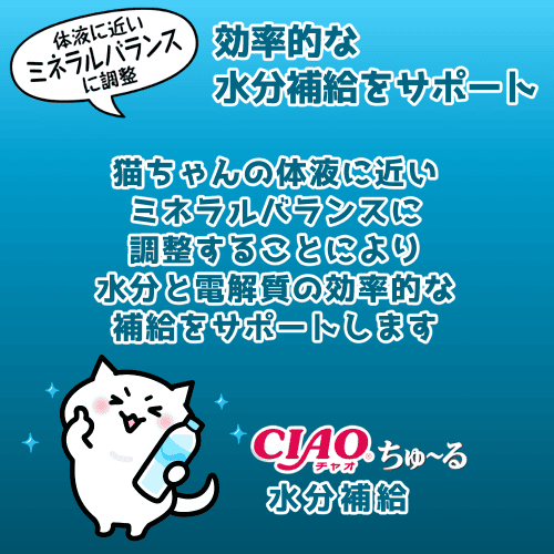 INABA ちゅ〜る ちゅーる 水分補給 チュール 猫 おやつ ねこ