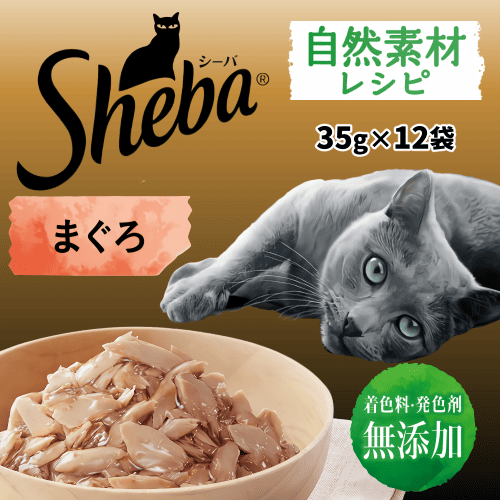 シーバ キャットフード 猫 ウェットフード 猫パウチ シーバパウチ 無