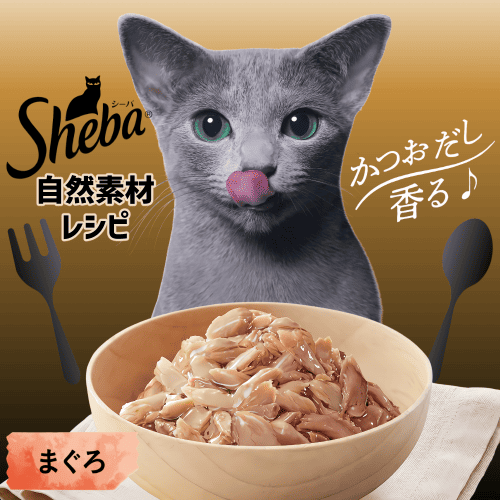 バラ売り可　93袋！猫のパウチセット　キャットフード　ウェットフード　まとめ売り キャットフード パウチ かつお&まぐろ、おかか入り -イオンの