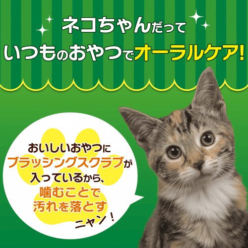 LION 猫 おやつ 歯磨きおやつ キャットフード デンタルケア 口腔ケア