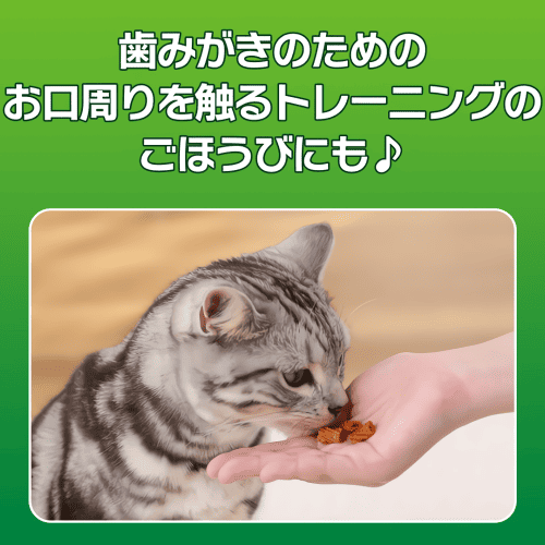 LION 猫 おやつ 歯磨きおやつ キャットフード デンタルケア 口腔ケア