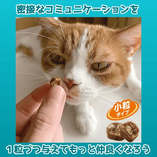 総額13000円ほどの子猫の餌8キロ＆歯磨きおやつセット PETKISS ネコちゃんの歯みがきおやつ まぐろ味 プチ｜ライオンペット
