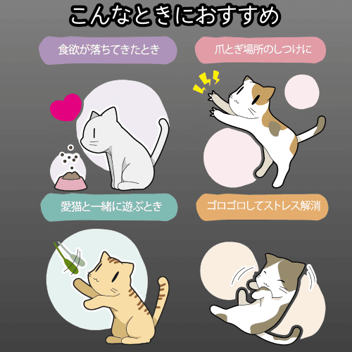 4970022021153-3.png
